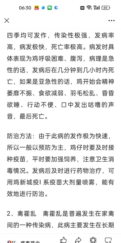 鸡苗养殖,新手入门,常见问题解答 鸡苗养殖,新手入门,常见问题解答