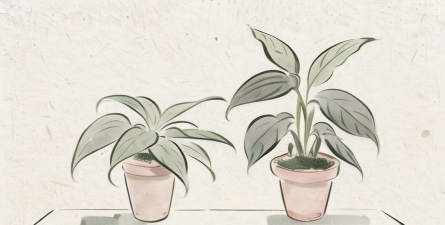 电脑桌面养花,轻松点缀生活,提升工作效率 电脑桌面养花,轻松点缀生活,提升工作效率