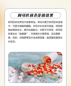 阿斯匹林能养花吗,了解实际效果,掌握正确用法 阿斯匹林能养花吗,了解实际效果,掌握正确用法