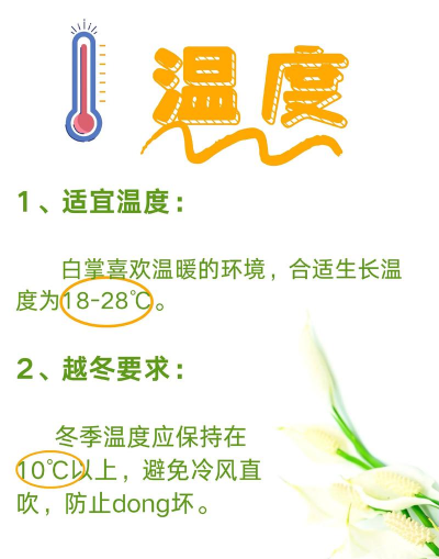 养花技术培训,提升种植技能,掌握养护要点 养花技术培训,提升种植技能,掌握养护要点