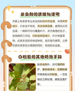 养花长虫怎么处理,常见虫害识别,快速解决妙招 养花长虫怎么处理,常见虫害识别,快速解决妙招