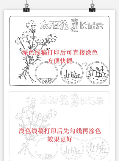 养花趣事,记录生活点滴,分享种植快乐 养花趣事,记录生活点滴,分享种植快乐