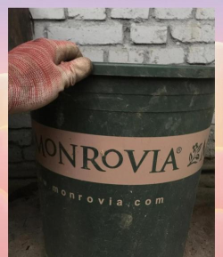 养花的肥料怎么制作,省钱又环保,家庭实用指南 养花的肥料怎么制作,省钱又环保,家庭实用指南