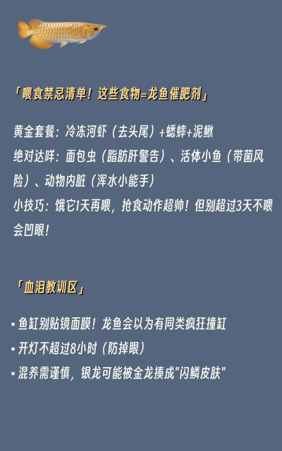 龙鱼养殖,新手入门,常见问题解答 龙鱼养殖,新手入门,常见问题解答