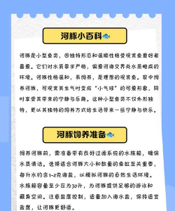 河豚养殖,技术要点,风险控制 河豚养殖,技术要点,风险控制