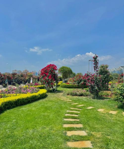 昆明花卉展,赏花好去处,体验春城魅力 昆明花卉展,赏花好去处,体验春城魅力