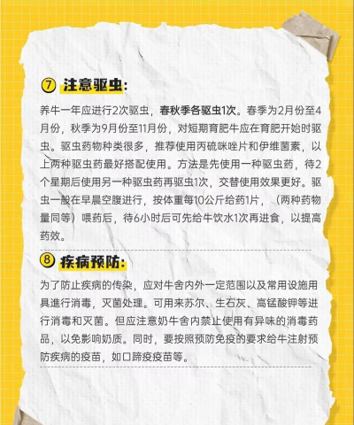 牛的养殖,技术要点,效益提升 牛的养殖,技术要点,效益提升