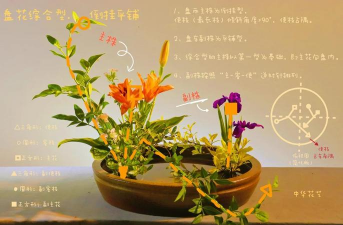 养花造型盘,打造个性盆栽,提升家居美感 养花造型盘,打造个性盆栽,提升家居美感