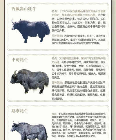 水牛养殖,常见问题解答,实用经验分享 水牛养殖,常见问题解答,实用经验分享