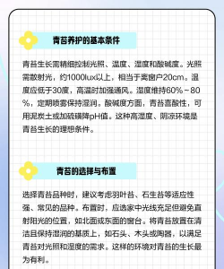 青苔可以养花吗,了解实际作用,掌握正确用法 青苔可以养花吗,了解实际作用,掌握正确用法