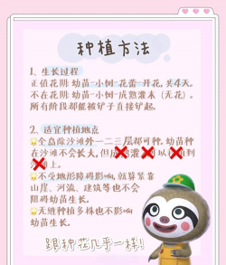 动森花卉,怎么种才好看,新手必看指南 动森花卉,怎么种才好看,新手必看指南