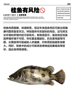 养殖桂鱼,掌握关键技巧,实现高效增收 养殖桂鱼,掌握关键技巧,实现高效增收