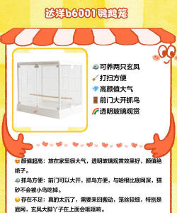 养殖笼子,怎么选才合适,关键看这几点 养殖笼子,怎么选才合适,关键看这几点