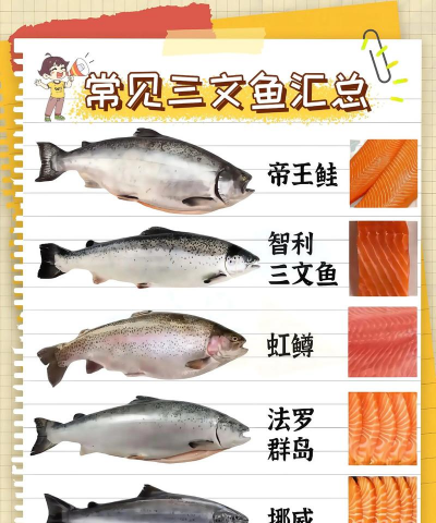 养殖三文鱼,市场前景如何,技术要点在哪 养殖三文鱼,市场前景如何,技术要点在哪