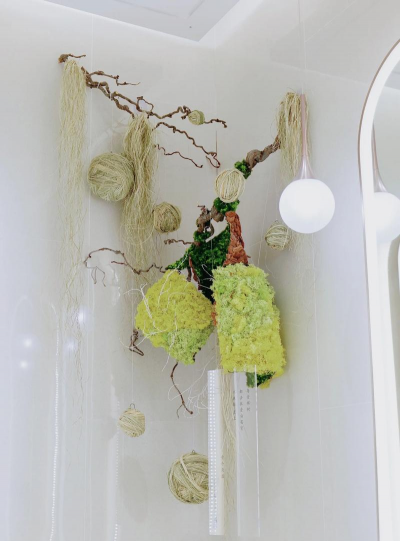 室内装饰花卉,提升家居氛围,增添生活情趣 室内装饰花卉,提升家居氛围,增添生活情趣