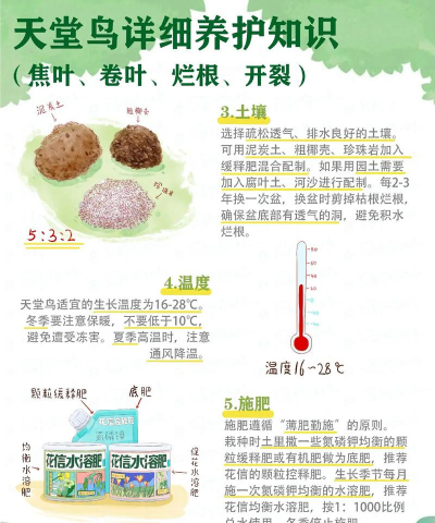养花的网站,新手入门指南,实用技巧分享 养花的网站,新手入门指南,实用技巧分享