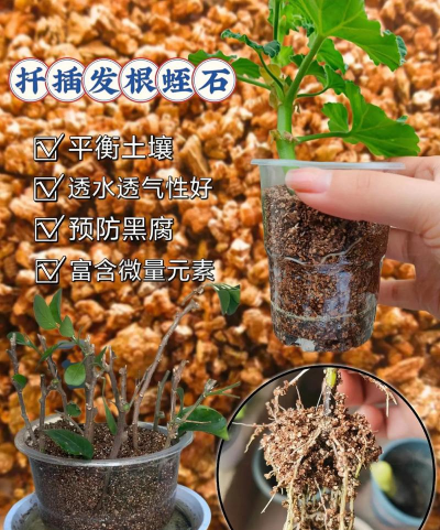 养花用蛭石价格,多少钱一袋,怎么买更划算 养花用蛭石价格,多少钱一袋,怎么买更划算