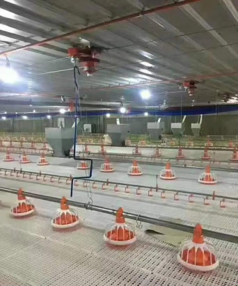 养殖场设备,提升养殖效率,降低人工成本 养殖场设备,提升养殖效率,降低人工成本