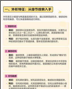 鸭养殖场,新手入门,常见问题解答 鸭养殖场,新手入门,常见问题解答