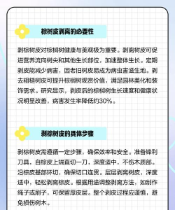 棕树皮能养花吗,废物利用,省钱又环保 棕树皮能养花吗,废物利用,省钱又环保