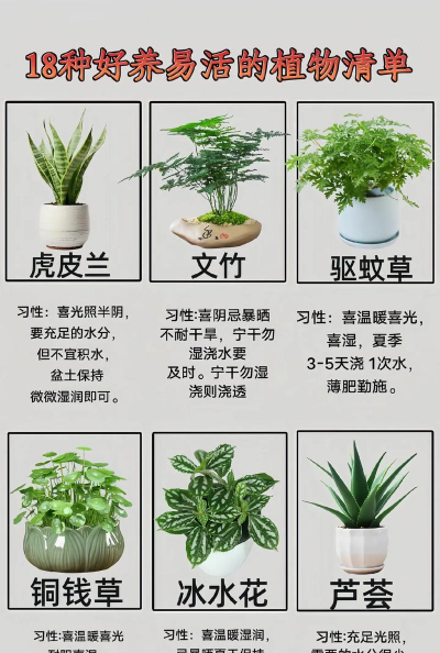 家里阳光不足怎么养花,选对植物种类,掌握养护技巧 家里阳光不足怎么养花,选对植物种类,掌握养护技巧
