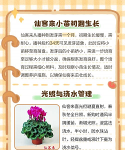 小树苗怎么养 小树苗怎么养