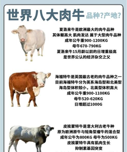 牛的品种有哪些 牛的品种有哪些
