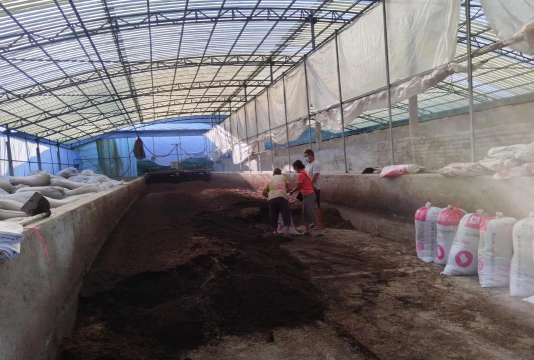 发酵床养猪技术怎么样 发酵床养猪技术怎么样