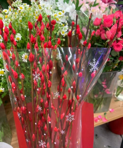 过年家里买什么花 过年家里买什么花