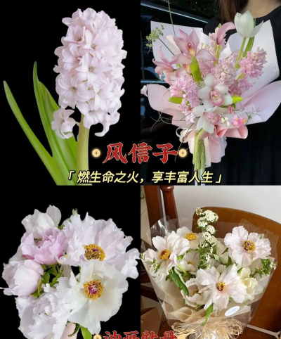 有多少品种的花 有多少品种的花