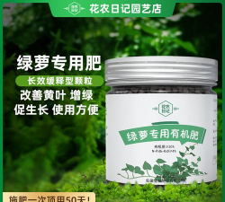 绿萝施什么肥料长得好 绿萝施什么肥料长得好