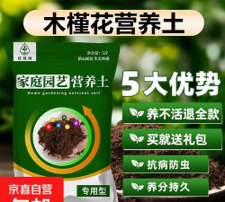 木槿花用什么土 木槿花用什么土