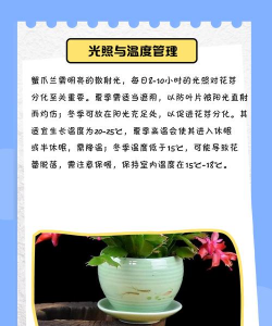 蟹爪兰一般浇多少水 蟹爪兰一般浇多少水