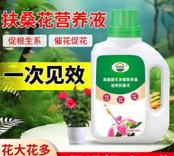 扶桑花喜欢什么肥料 扶桑花喜欢什么肥料