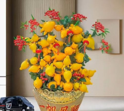 黄金果盆栽多少钱一盆 黄金果盆栽多少钱一盆