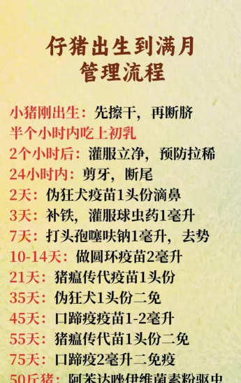 仔猪保育时间多少天 仔猪保育时间多少天