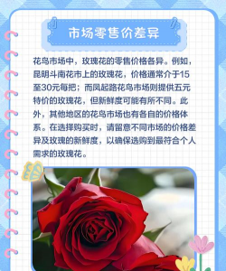 玫瑰批发多少钱 玫瑰批发多少钱