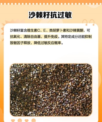 沙棘种子如何处理 沙棘种子如何处理