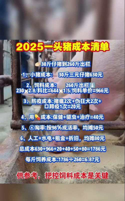 养猪赚多少钱 养猪赚多少钱