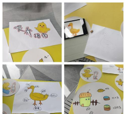 小鸭子怎么喂养 小鸭子怎么喂养