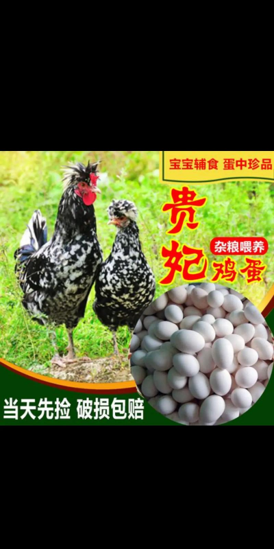 贵妃鸡孵蛋要多少天 贵妃鸡孵蛋要多少天