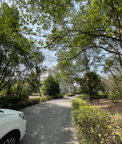 68岁爷爷,1万块打造最美私家花园,老外都慕名而来! 68岁爷爷,1万块打造最美私家花园,老外都慕名而来!