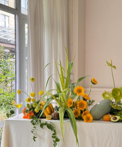 小孩最喜欢的6种花,书桌茶几摆一盆,健康又干净! 小孩最喜欢的6种花,书桌茶几摆一盆,健康又干净!