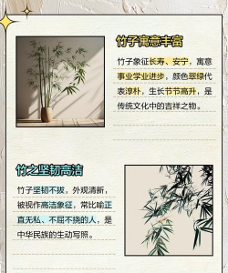 竹子象征含义什么 竹子象征含义什么