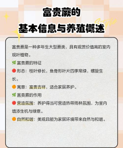 富贵蕨的养殖方法和注意事项 富贵蕨的养殖方法和注意事项