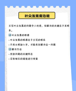 兰花叶子尖发黑是什么原因怎么处理 兰花叶子尖发黑是什么原因怎么处理