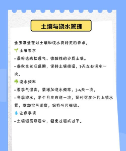 金玉满堂花的养殖方法和注意事项 金玉满堂花的养殖方法和注意事项