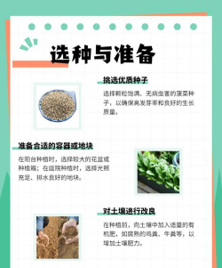 菠菜种子怎么种植方法 菠菜种子怎么种植方法