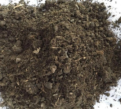 草炭土是什么 草炭土是什么