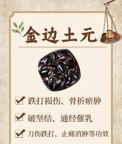 怎么养土元 怎么养土元